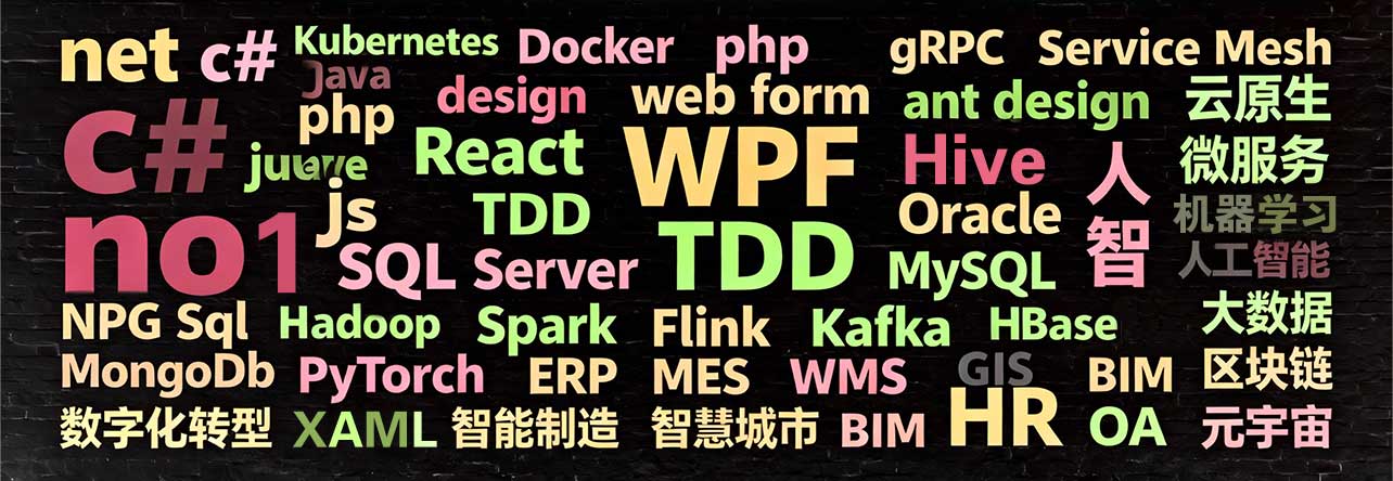 资深程序员，专注企业级应用开发，精通微服务、云原生技术，熟悉大数据与AI领域，兴趣广泛